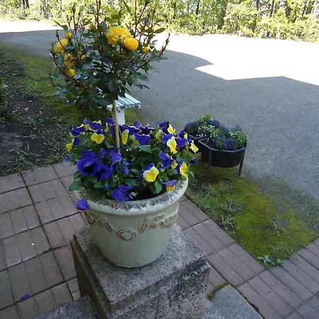 Maentyluodon 호텔 3*