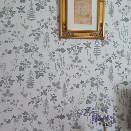 호텔 Maentyluodon 3*