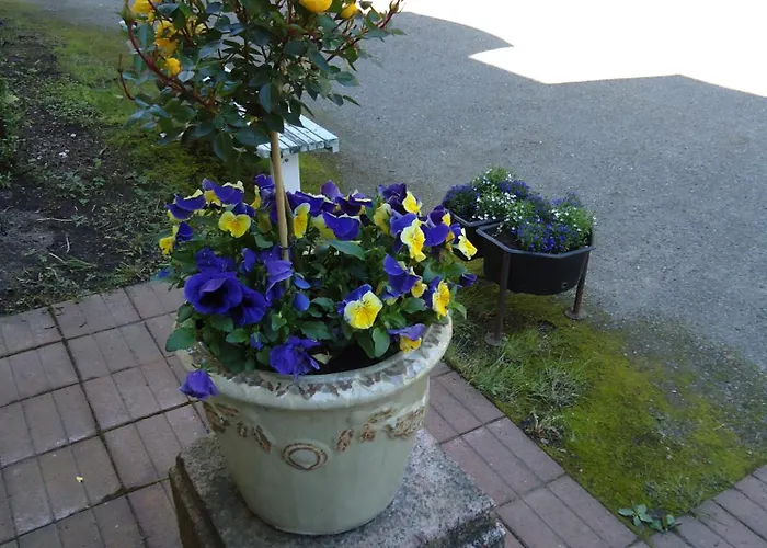 Maentyluodon Hotel 3*